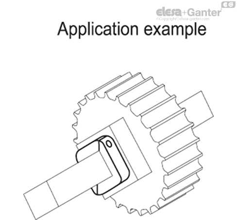 ANPS_Q_ACC_EXAMPLE_EN