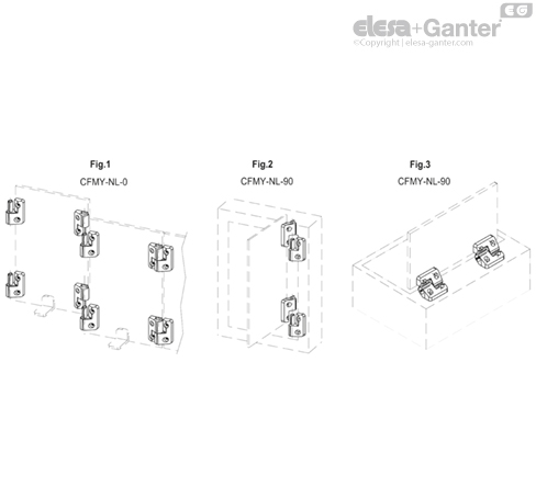CFMY_NL_APP_EXAMPLE_EN