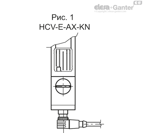 HCV_E_AX_FIG1_RU