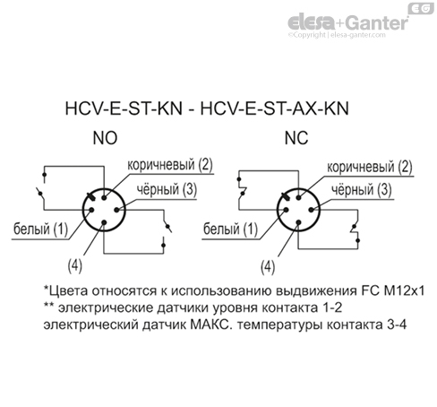 HCV_E_ST_KN_ACC_CONT_RU