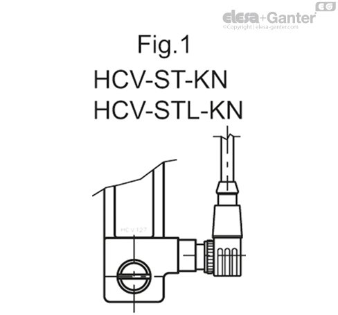 HCV_S_FIG1_EN