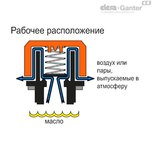 SFV_ACC_OPERATING_RU