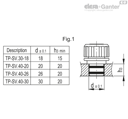 TP_SV_MOUNT_EXAMPLE_EN