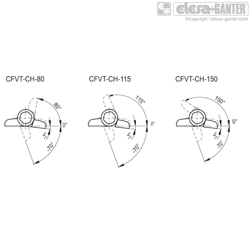 CFVT
