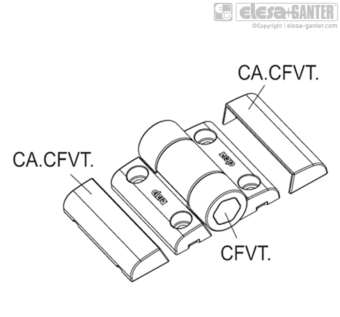 CFVT