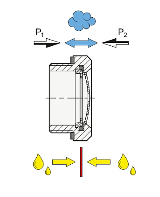 przepuszczalnosc membrany